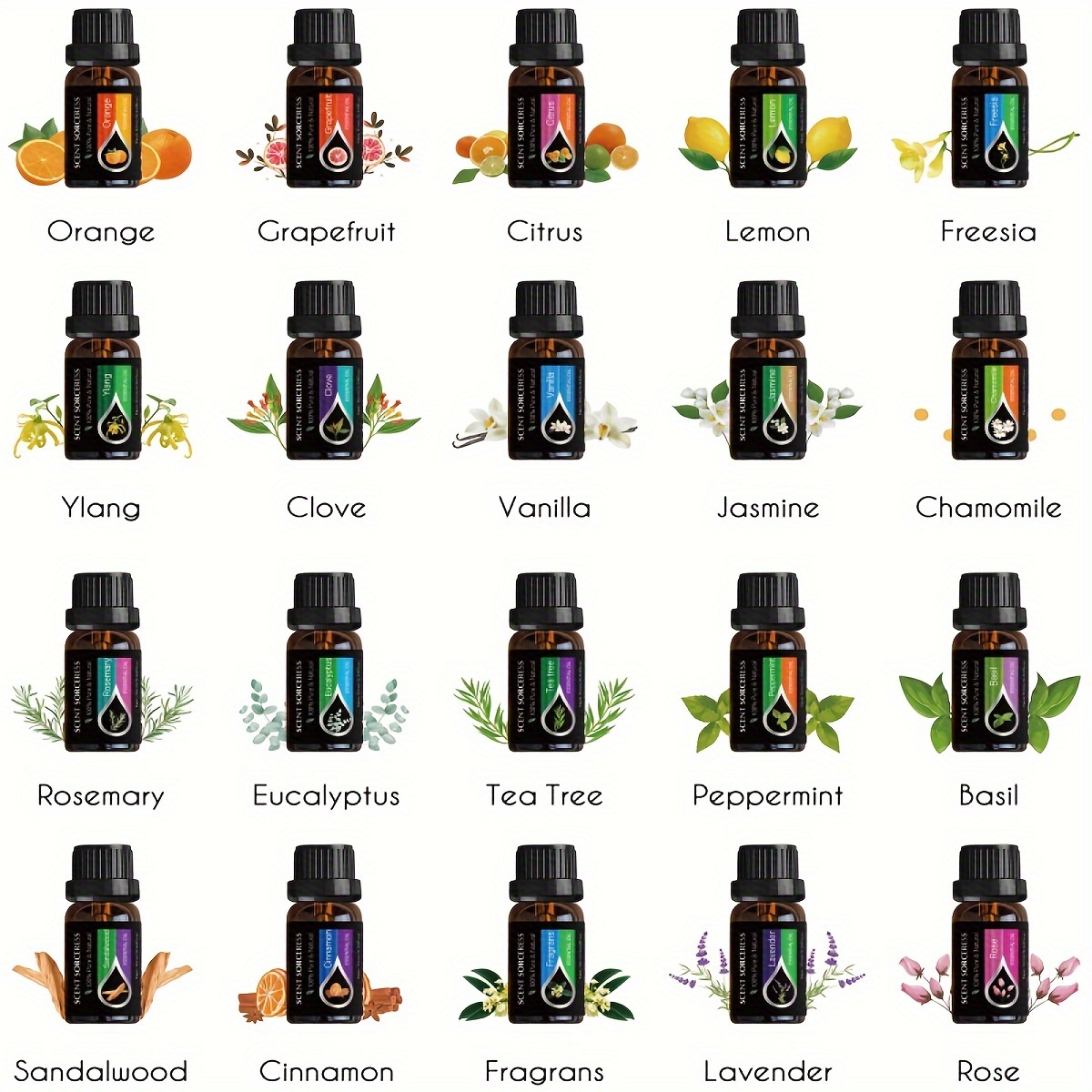 20Pcs/Set Classic Brand Essent - Perfume Fragrance Oil review and price